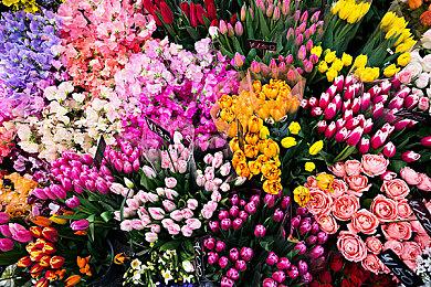 Adobe将推PS和PR AI代理：提供建议即可智能编辑